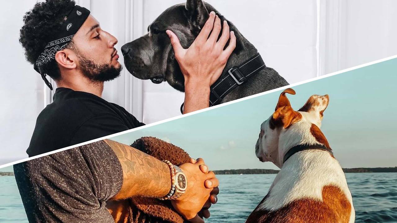 Most Valuable Pets The Cutest and Coolest Dogs in the NBA