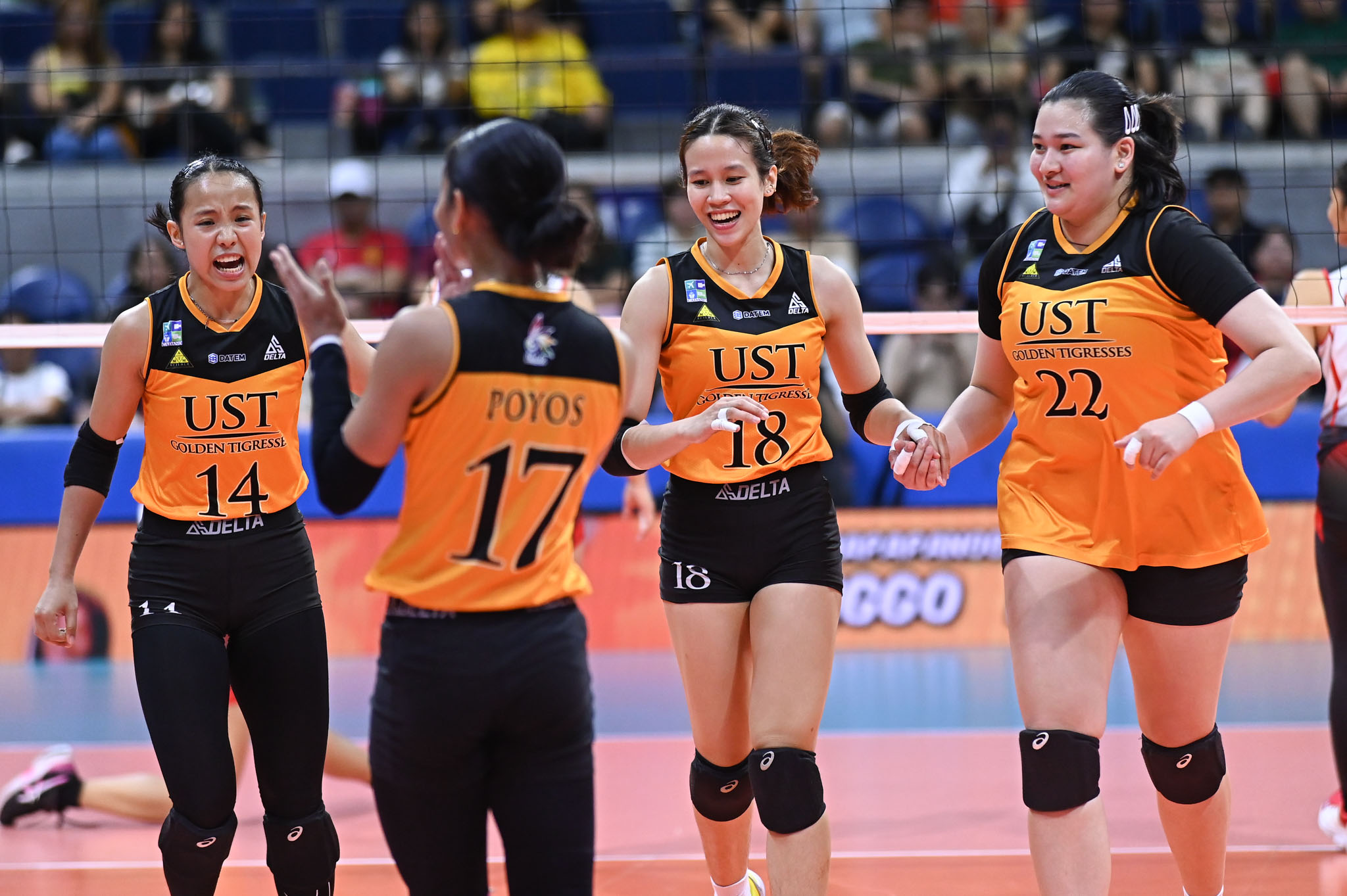 UAAP Volleyball: UST